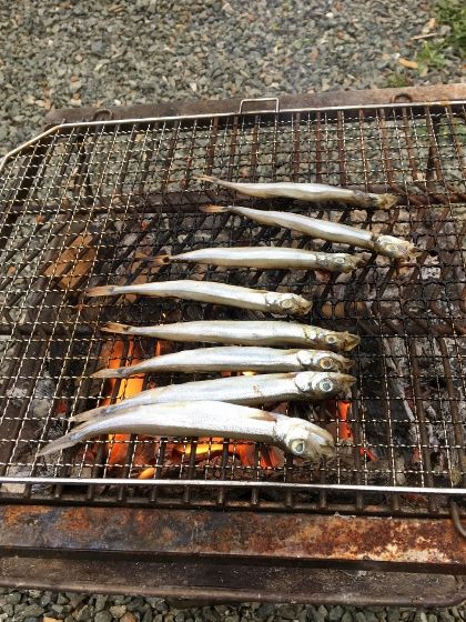 イメージ 20