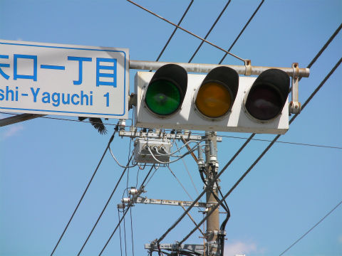 イメージ 5