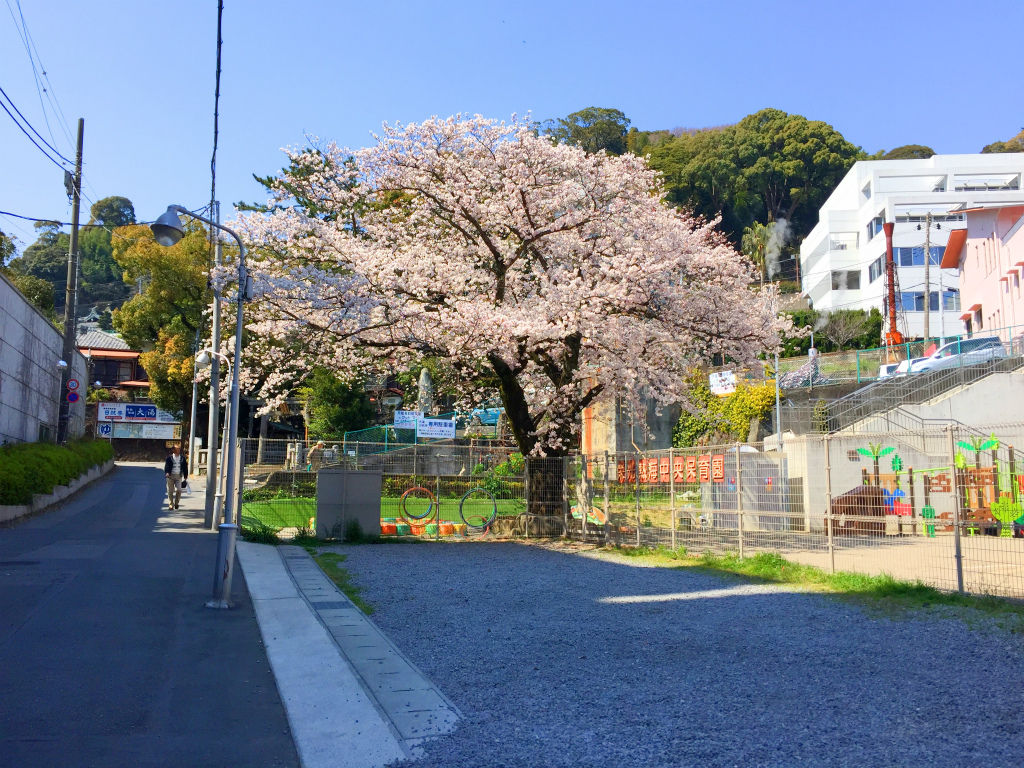 イメージ 18