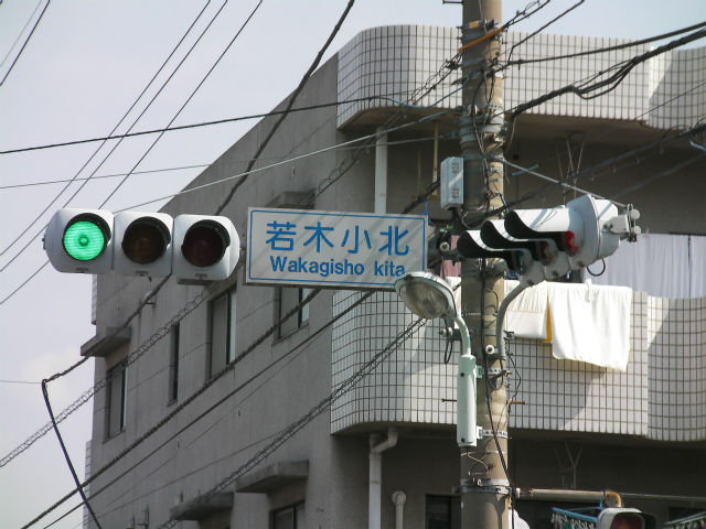 イメージ 8