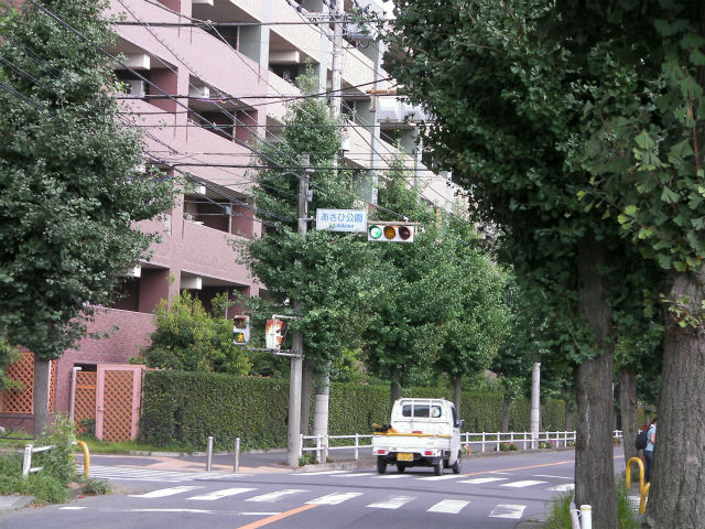 イメージ 3