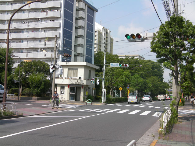 イメージ 6