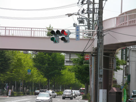 イメージ 6