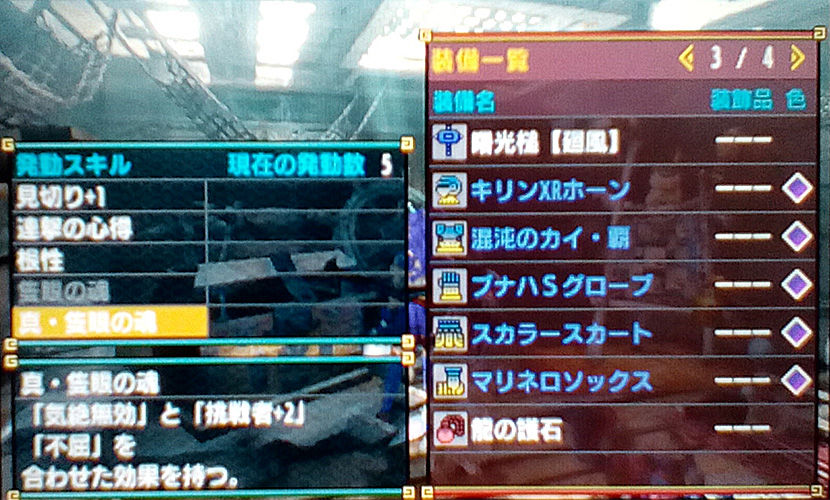 装備紹介 ヒカリさんのハンター生活