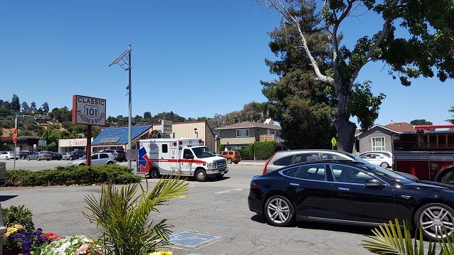 ペチのアメリカ生活雑記帳