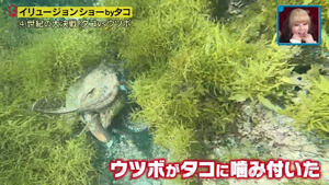 あ７２