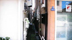 jujo24