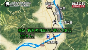 n42