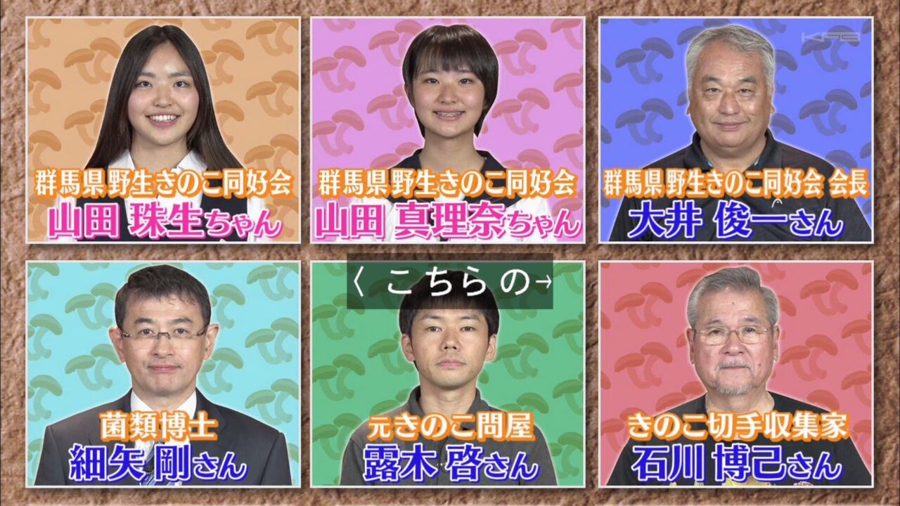 タモリ倶楽部 12月6日放送 女子中学生から博士まで きのこマニアときのこ鍋を食べよう Halohalo Online