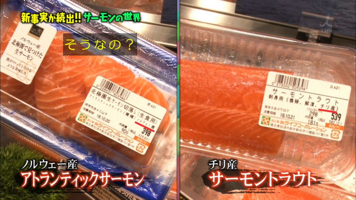 マツコの知らない世界 11月日放送 サーモンの世界 Halohalo Online