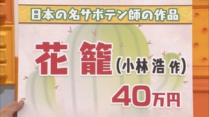 a41