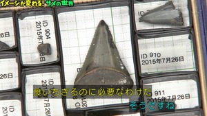 a39