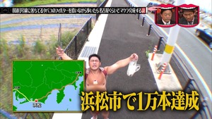 a33