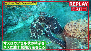 あ８６