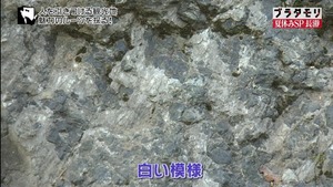 n45