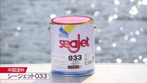 s41