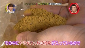 mt14