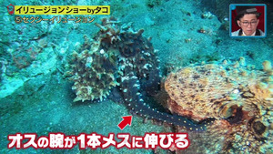 あ８５