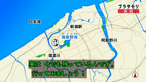 nigata25