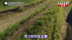a52