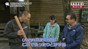 aoi28