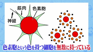 あ４８