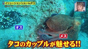 あ８４