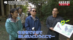 aoi01