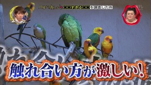 toox53