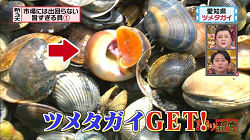 怒り新党 6月1日放送 新3大 市場には出回らない旨すぎる貝 Halohalo Online