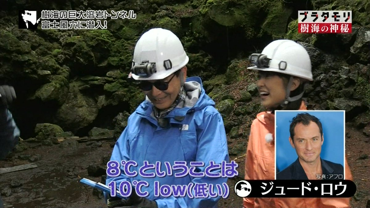 ブラタモリ 10月22日放送 樹海の神秘 Halohalo Online