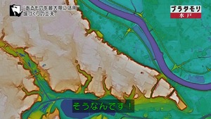 mito41