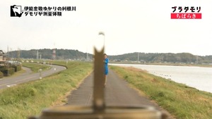 a70