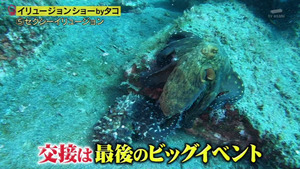 あ９２