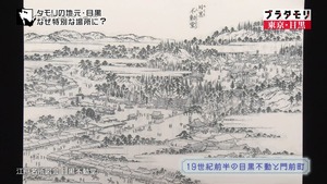 megu12