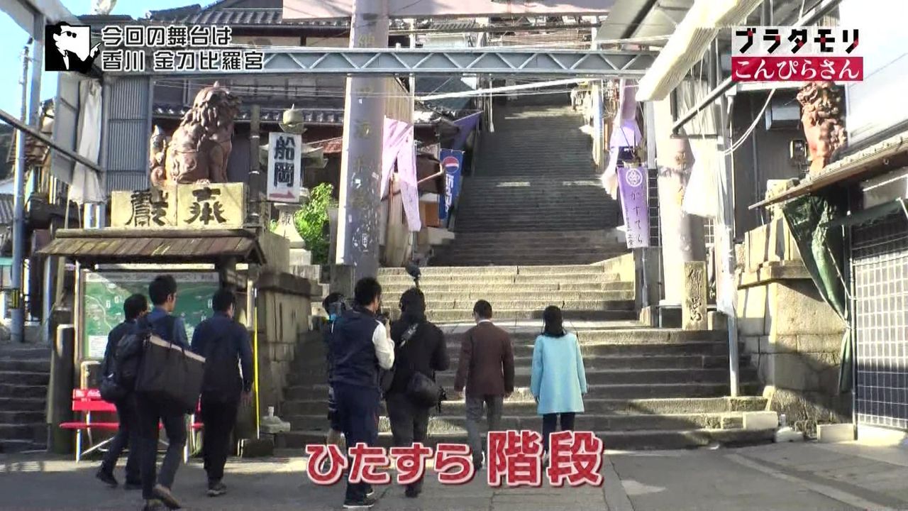 ブラタモリ 1月21日放送～人はなぜ”こんぴらさん”を目指す？① Halohalo online