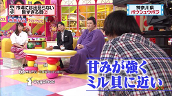 umakai30