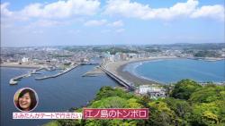 ocha45