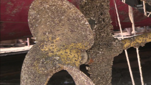 s31
