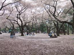 koganeikoen