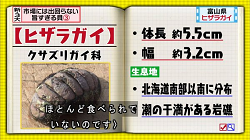 umakai38