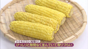 a36