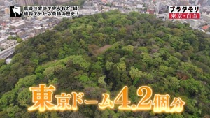 a31