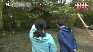 aoi44