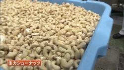 nuts22
