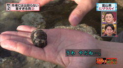 umakai37