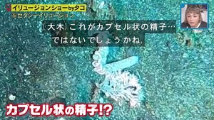 あ８８