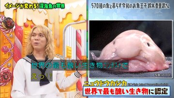 マツコの知らない世界 1月21日放送 深海魚の世界 Halohalo Online