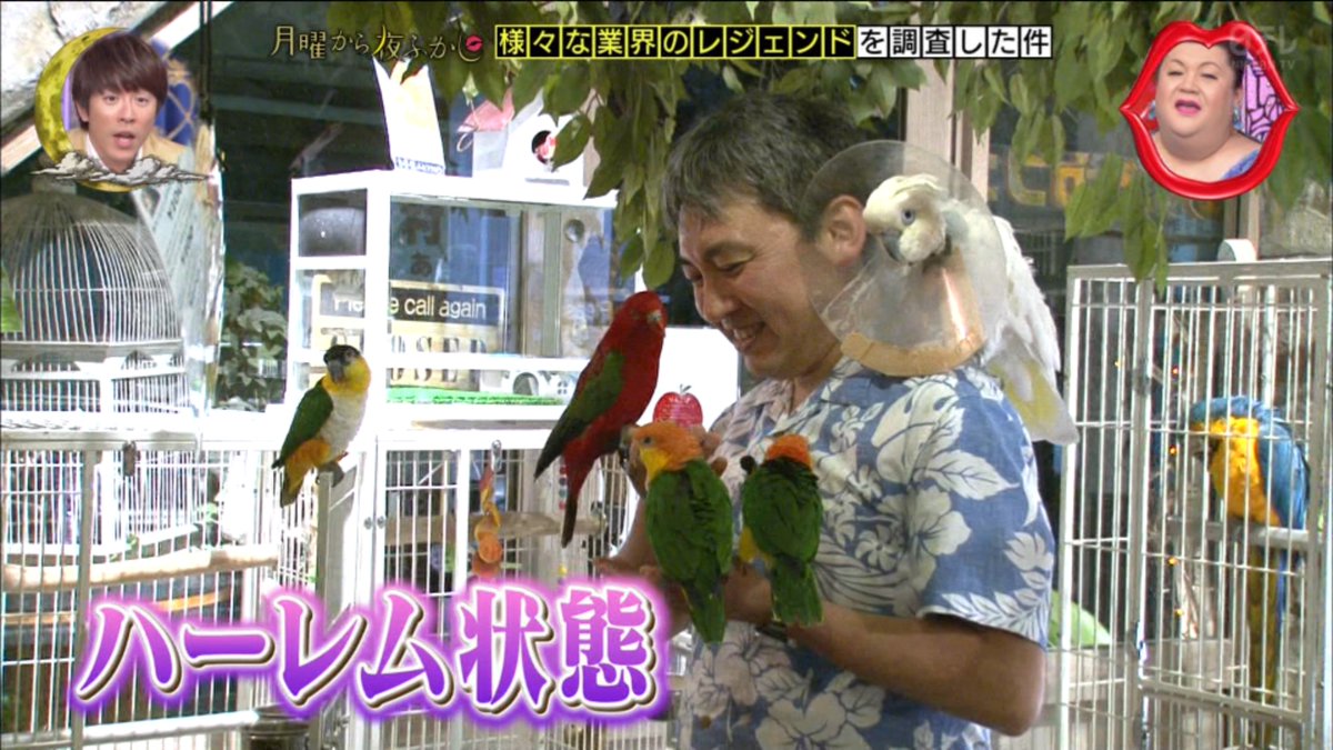 月曜から夜ふかし 5月13日放送 業界のレジェンド 鳥カフェ 土佐はし拳 美容整形 わからない都道府県シルエットランキング Halohalo Online