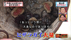 umakai39